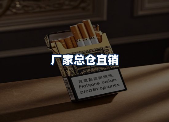 专业团队办公环境